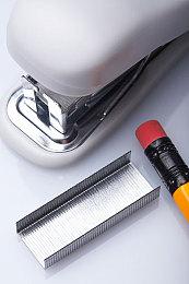 玩家分享《宝可梦传说 Z-A》意外惊喜 预购一代主机版发来了二代版